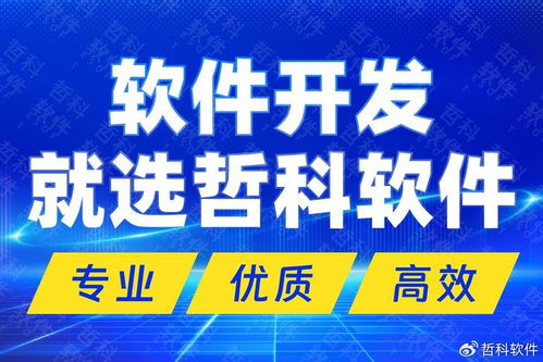 解碼技術開發新高度 國內頂尖軟件開發公司的核心優勢與市場制勝之道